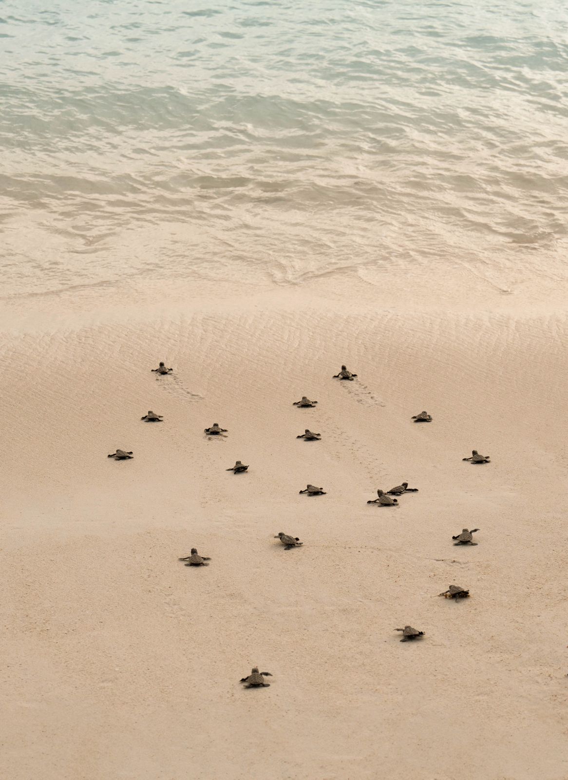 seychelles
